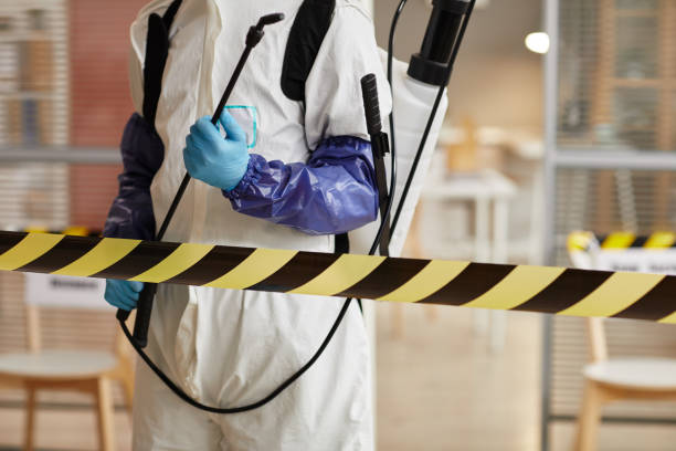 Professional Sewage Cleanup technician working in Planada, CA